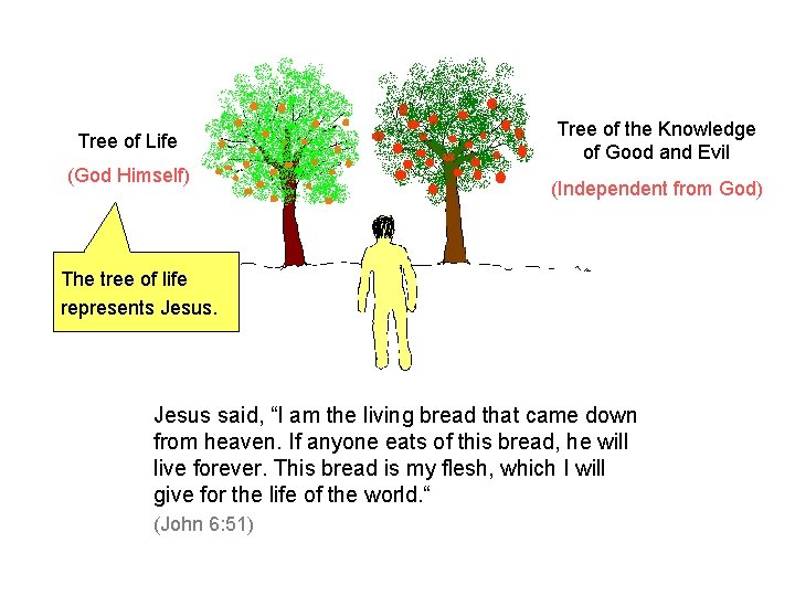 Tree of Life (God Himself) Tree of the Knowledge of Good and Evil (Independent