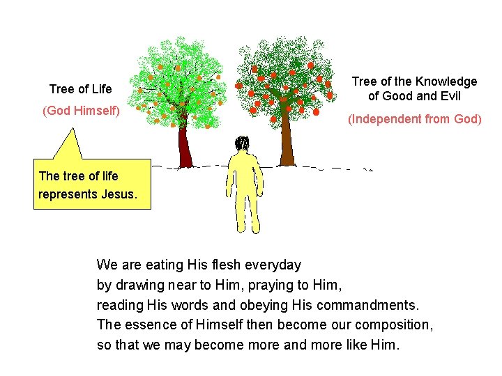 Tree of Life (God Himself) Tree of the Knowledge of Good and Evil (Independent