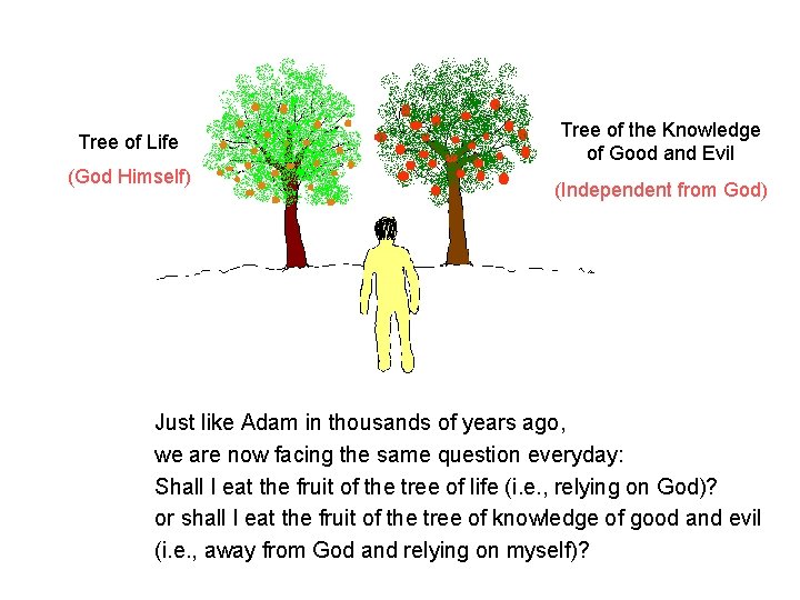 Tree of Life (God Himself) Tree of the Knowledge of Good and Evil (Independent