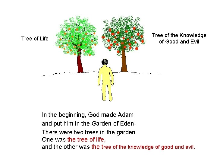 Tree of Life Tree of the Knowledge of Good and Evil In the beginning, Tree of Life Tree of the Knowledge of Good and Evil In the beginning,