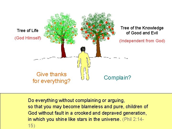 Tree of Life (God Himself) Give thanks for everything? Tree of the Knowledge of
