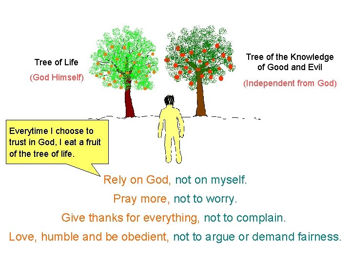 Tree of the Knowledge of Good and Evil Tree of Life (God Himself) (Independent Tree of the Knowledge of Good and Evil Tree of Life (God Himself) (Independent