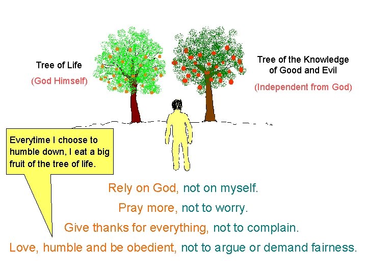 Tree of the Knowledge of Good and Evil Tree of Life (God Himself) (Independent Tree of the Knowledge of Good and Evil Tree of Life (God Himself) (Independent
