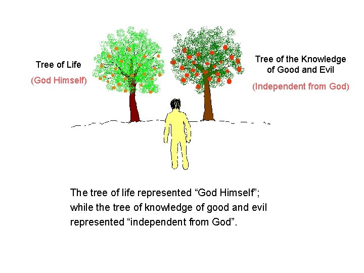 Tree of Life (God Himself) Tree of the Knowledge of Good and Evil (Independent