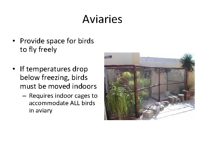 Aviaries • Provide space for birds to fly freely • If temperatures drop below