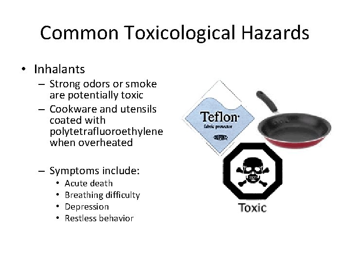 Common Toxicological Hazards • Inhalants – Strong odors or smoke are potentially toxic –