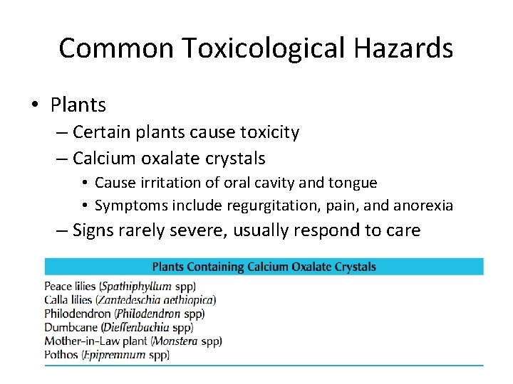 Common Toxicological Hazards • Plants – Certain plants cause toxicity – Calcium oxalate crystals