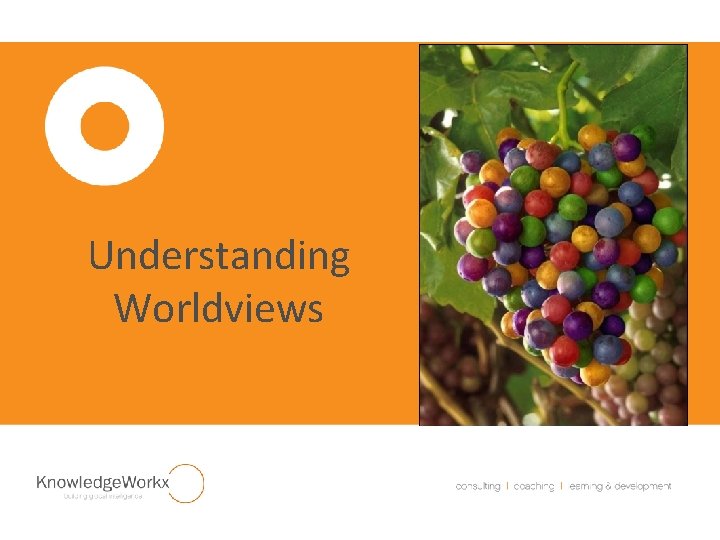 Understanding Worldviews 