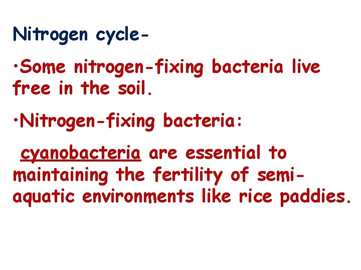 Nitrogen cycle- • Some nitrogen-fixing bacteria live free in the soil. • Nitrogen-fixing bacteria: