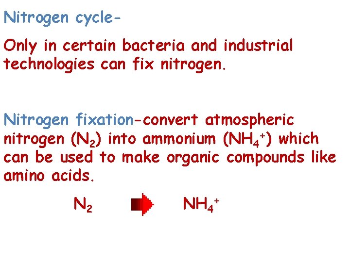 Nitrogen cycle. Only in certain bacteria and industrial technologies can fix nitrogen. Nitrogen fixation-convert