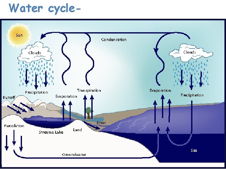 Water cycle- 