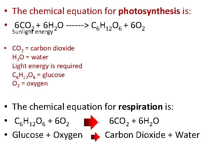  • The chemical equation for photosynthesis is: • 6 CO 2 + 6