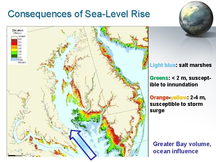 Consequences of Sea-Level Rise Light blue: blue salt marshes Greens: Greens < 2 m,