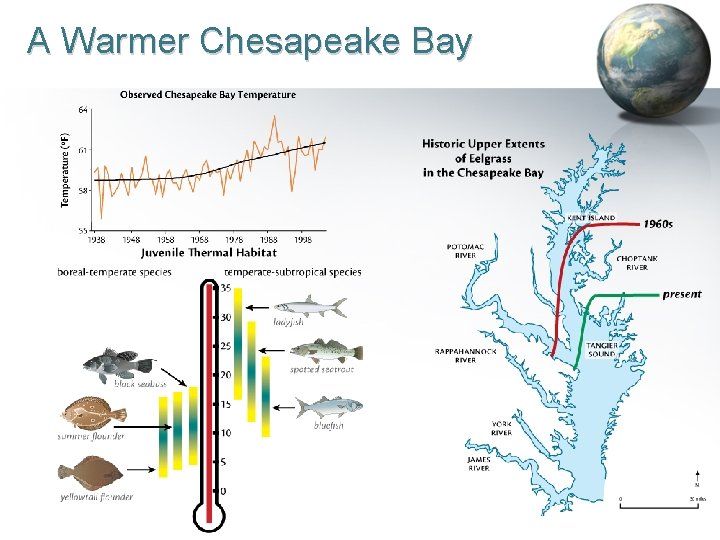 A Warmer Chesapeake Bay MVN RSM Program 