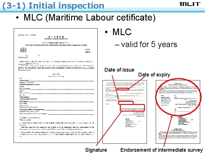 (3 -1) Initial inspection • MLC (Maritime Labour cetificate) • MLC – valid for