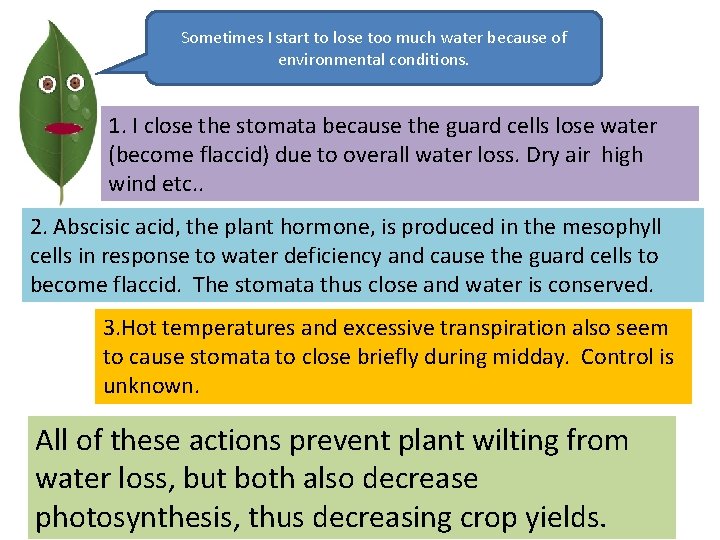 Sometimes I start to lose too much water because of environmental conditions. 1. I