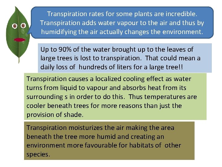Transpiration rates for some plants are incredible. Transpiration adds water vapour to the air