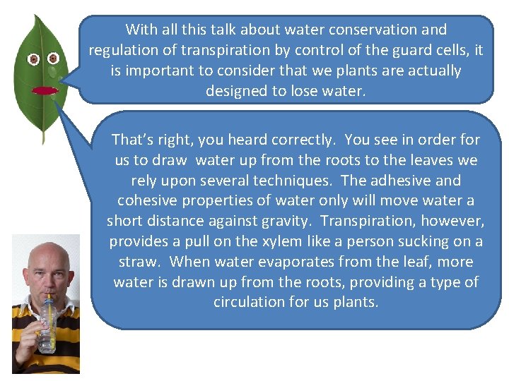With all this talk about water conservation and regulation of transpiration by control of
