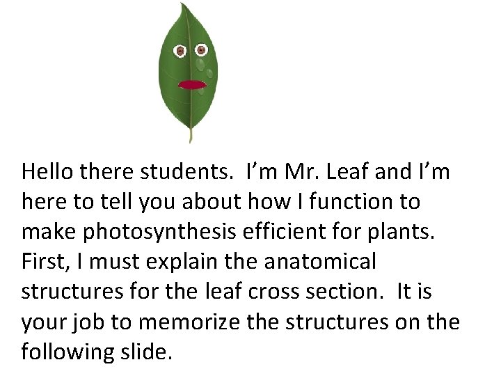 Hello there students. I’m Mr. Leaf and I’m here to tell you about how