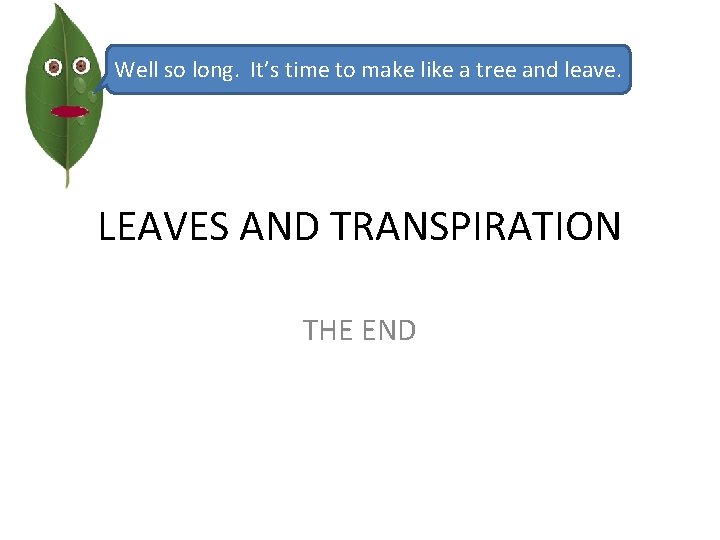 Well so long. It’s time to make like a tree and leave. LEAVES AND