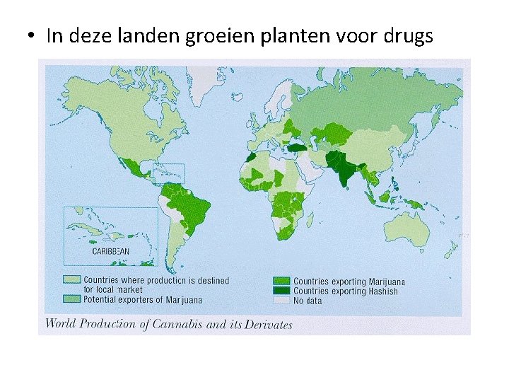  • In deze landen groeien planten voor drugs 