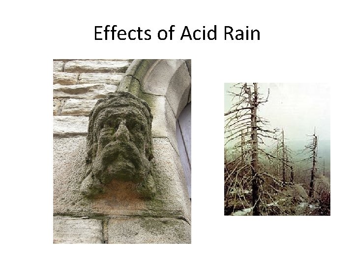Effects of Acid Rain 