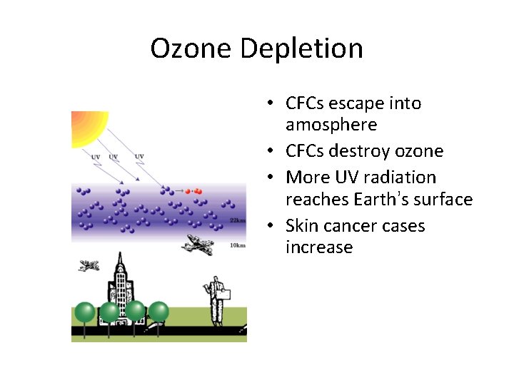 Ozone Depletion • CFCs escape into amosphere • CFCs destroy ozone • More UV