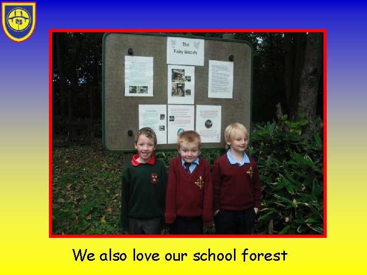 We also love our school forest 