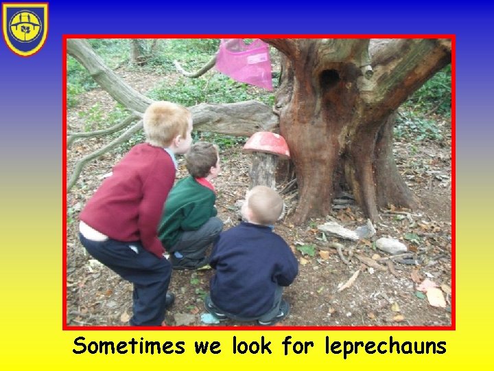 Sometimes we look for leprechauns 