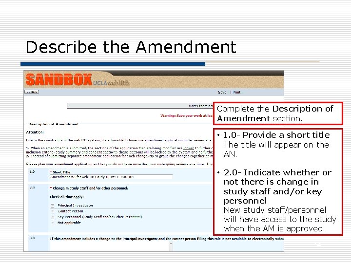 Describe the Amendment Complete the Description of Amendment section. • 1. 0 - Provide