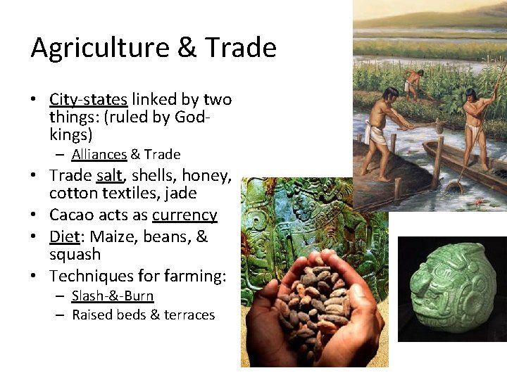 Agriculture & Trade • City-states linked by two things: (ruled by Godkings) – Alliances