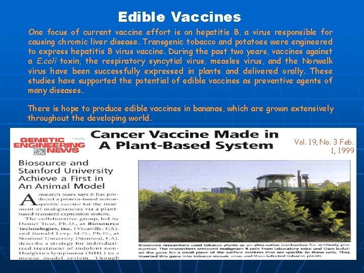 Edible Vaccines One focus of current vaccine effort is on hepatitis B, a virus