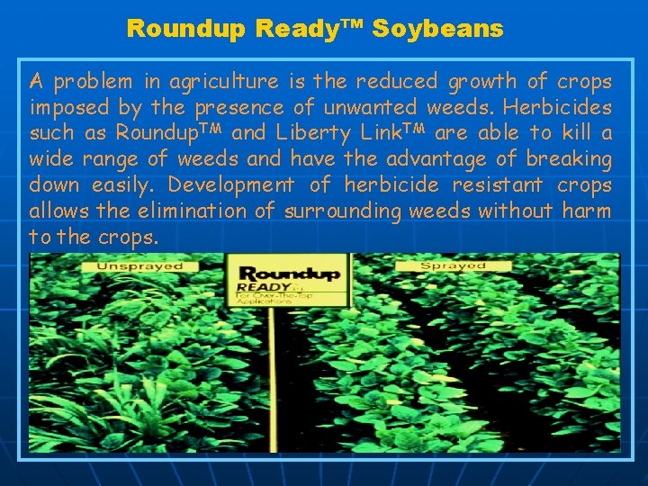 Roundup Ready™ Soybeans A problem in agriculture is the reduced growth of crops imposed