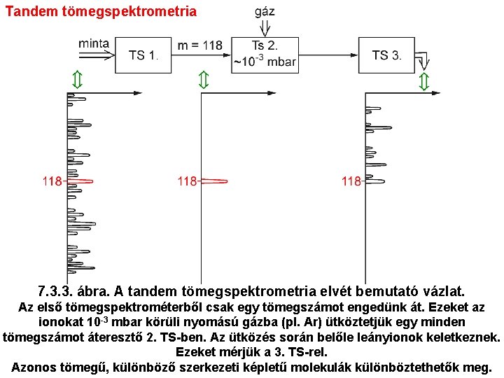 Tandem tömegspektrometria 7. 3. 3. ábra. A tandem tömegspektrometria elvét bemutató vázlat. Az első