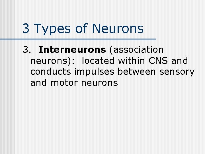 3 Types of Neurons 3. Interneurons (association neurons): located within CNS and conducts impulses