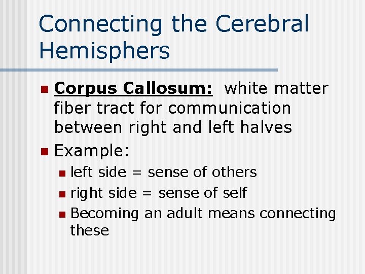 Connecting the Cerebral Hemisphers Corpus Callosum: white matter fiber tract for communication between right