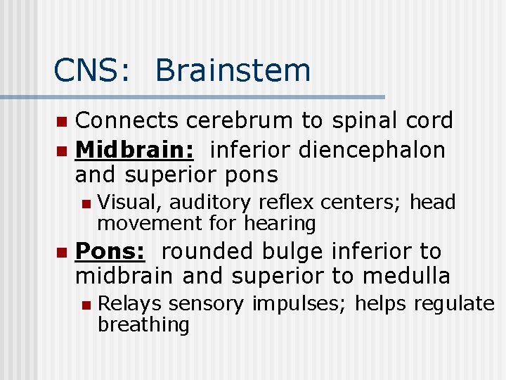 CNS: Brainstem Connects cerebrum to spinal cord n Midbrain: inferior diencephalon and superior pons