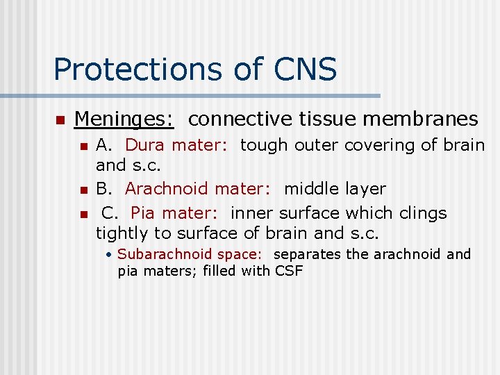 Protections of CNS n Meninges: connective tissue membranes n n n A. Dura mater: