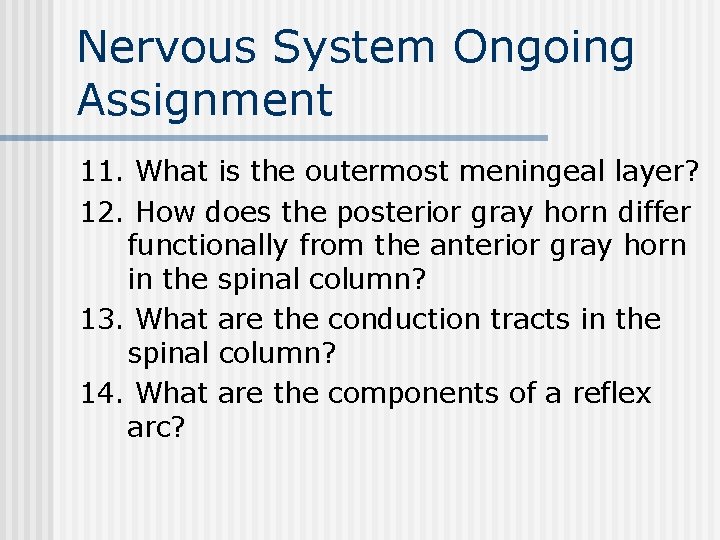 Nervous System Ongoing Assignment 11. What is the outermost meningeal layer? 12. How does