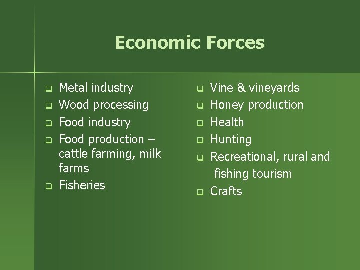 Economic Forces q q q Metal industry Wood processing Food industry Food production –