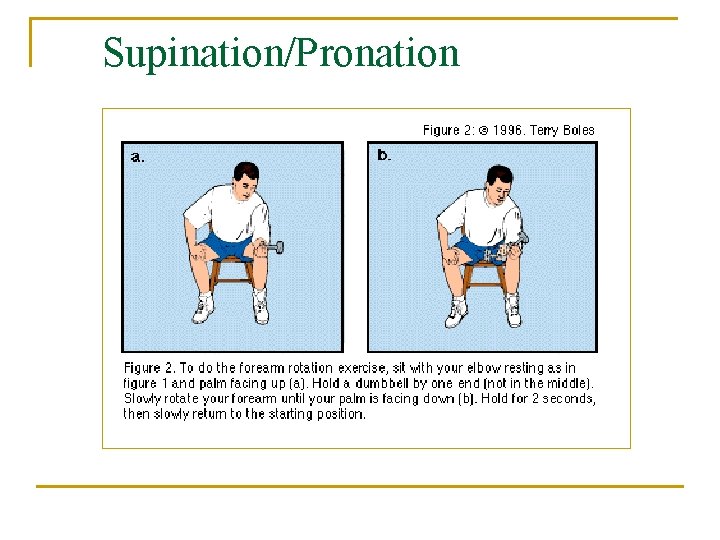 Supination/Pronation 