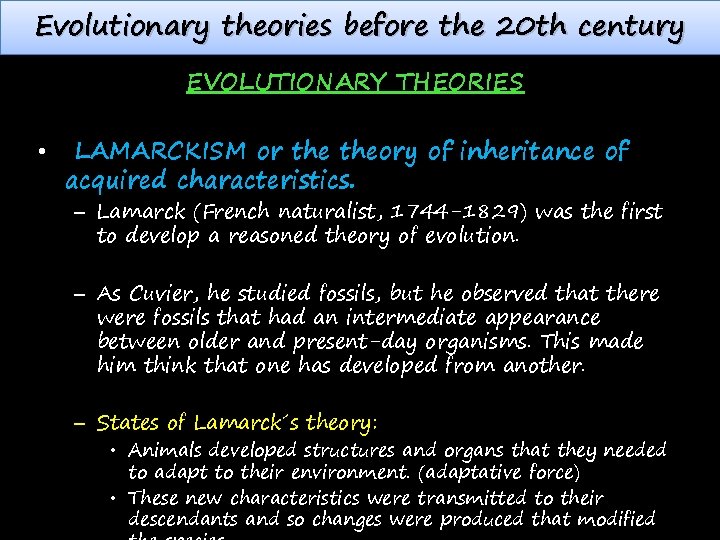 Evolutionary theories before the 20 th century EVOLUTIONARY THEORIES • LAMARCKISM or theory of