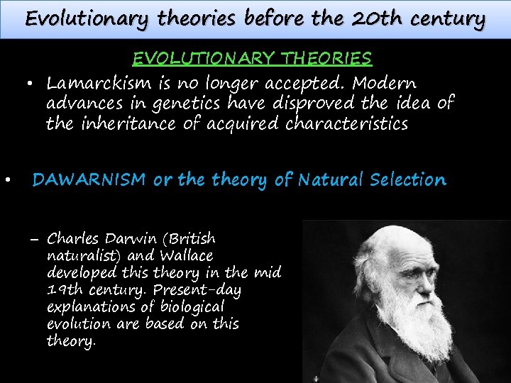 Evolutionary theories before the 20 th century EVOLUTIONARY THEORIES • Lamarckism is no longer