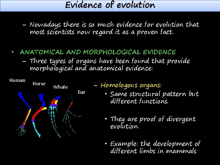 Evidence of evolution – Nowadays there is so much evidence for evolution that most