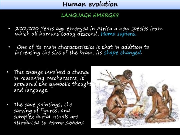 Human evolution LANGUAGE EMERGES • 200, 000 Years ago emerged in Africa a new