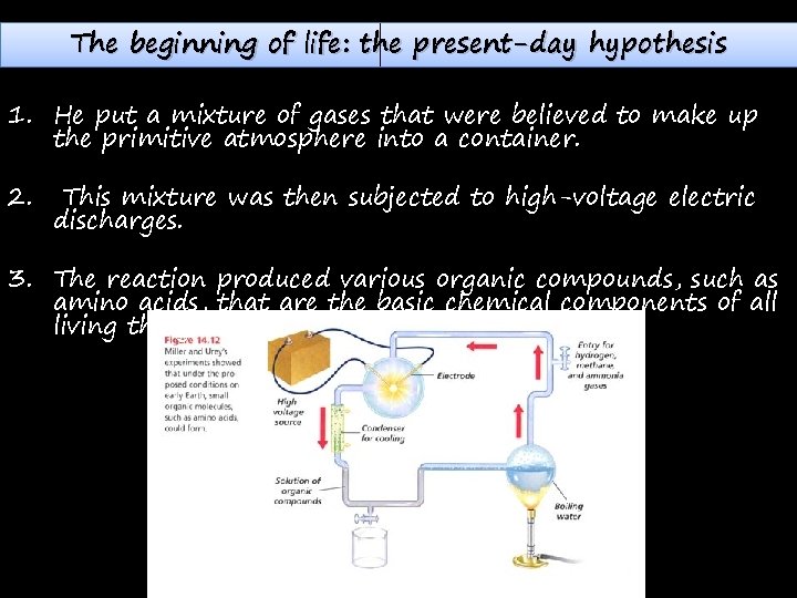 The beginning of life: the present-day hypothesis 1. He put a mixture of gases