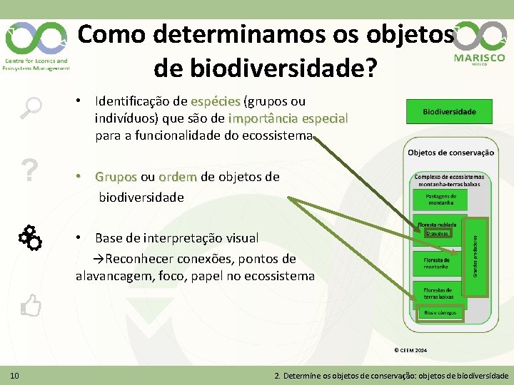 Como determinamos os objetos de biodiversidade? • Identificação de espécies (grupos ou espécies indivíduos)