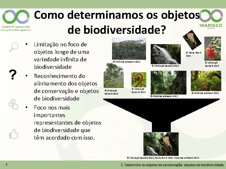 Como determinamos os objetos de biodiversidade? ? • Limitação no foco de objetos longe