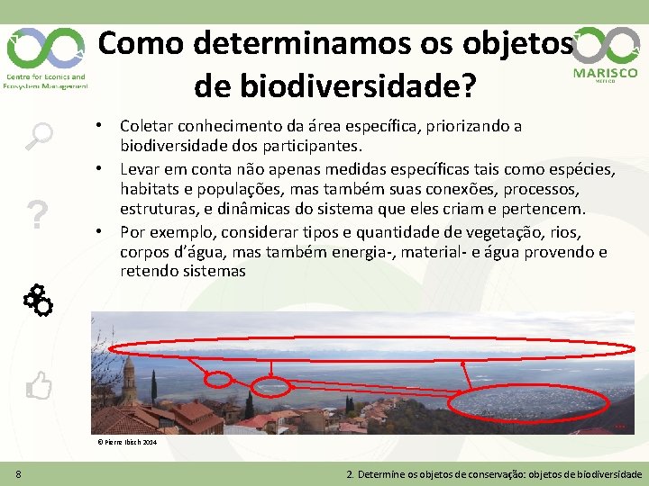 Como determinamos os objetos de biodiversidade? ? • Coletar conhecimento da área específica, priorizando