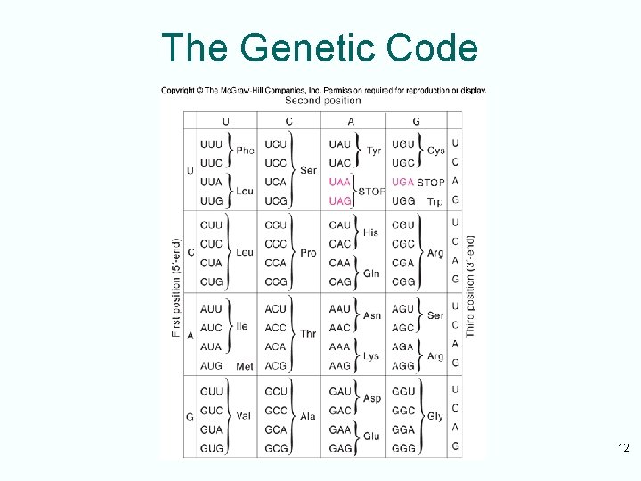 The Genetic Code 12 